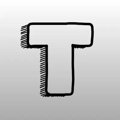 T2